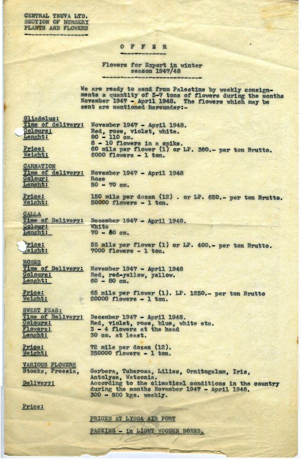 הצעה של חברת תנובה ליצוא שבועי של פרחים לאירופה במהלך חורף תש"ח